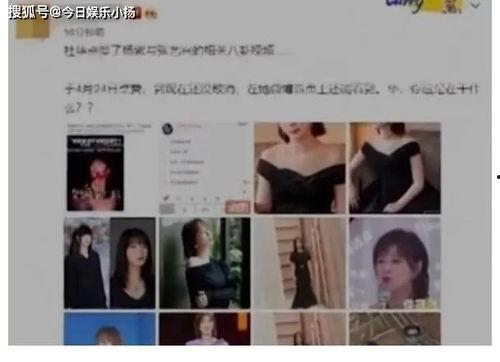 吃瓜恋情曝光视频大全免费观看  第3张